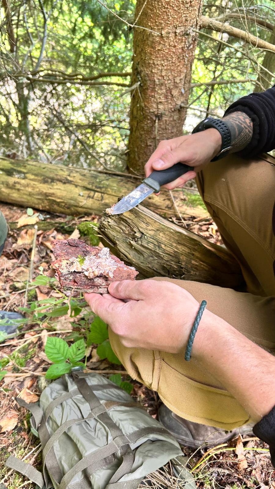 Gruppen Survival Training | 1 Tages Kurs für Gruppen - Schönbuch Akademie