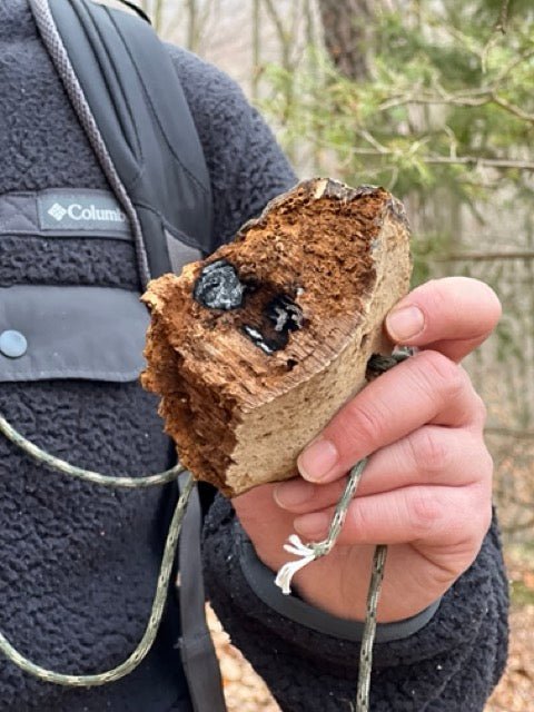 Intensiv Survival Training | 3-Tages Kurs - Schönbuch Akademie