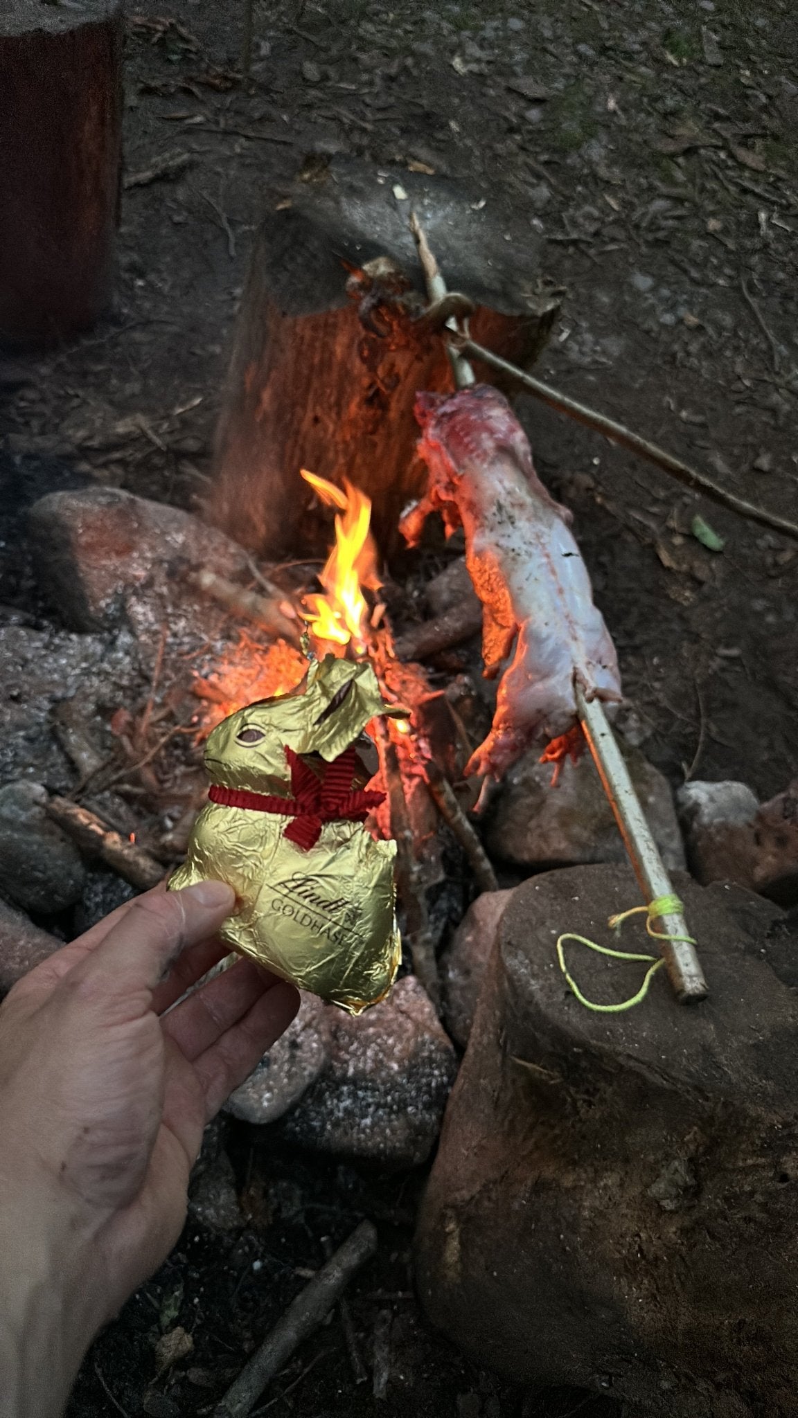 Jagdsimulation und Nahrungsgewinnung Survival Situation | 1-Tages Kurs - Schönbuch Akademie