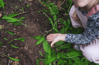 Outdoor Ferienprogramm für Kinder | 4 Stunden Praxis im Wald - Schönbuch Akademie